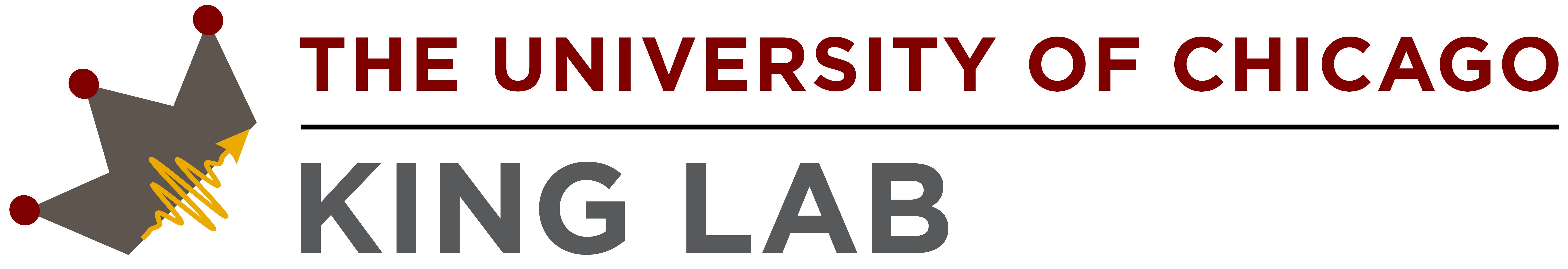 King Lab Logo